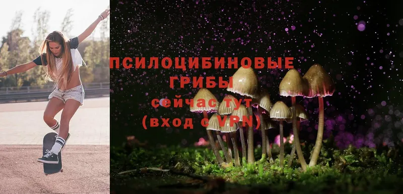 Галлюциногенные грибы MAGIC MUSHROOMS  продажа наркотиков  Пыть-Ях 